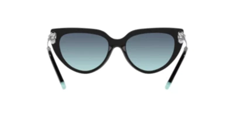 TF4195  Sunglasses