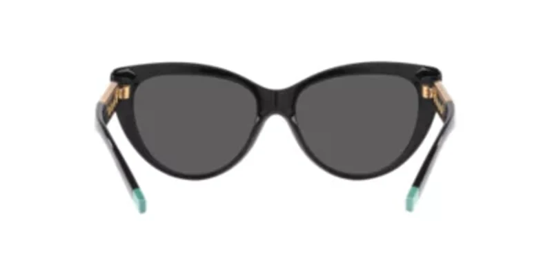 TF4196  Sunglasses