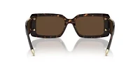 TF4197  Sunglasses