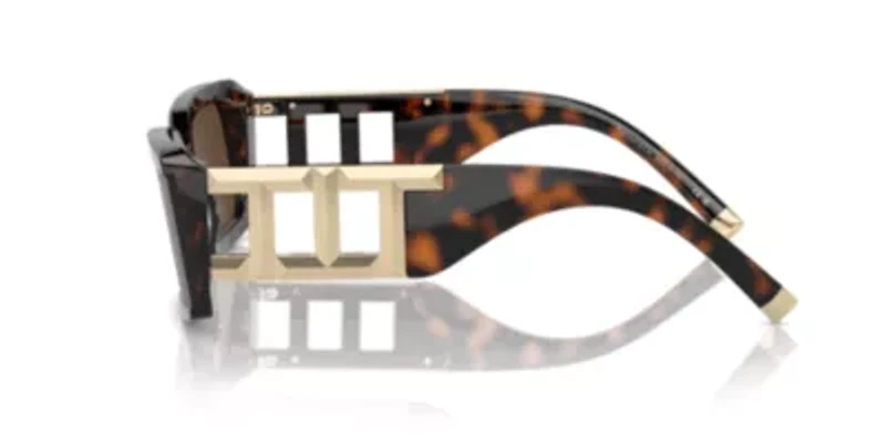 TF4197  Sunglasses