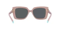 TF4199  Sunglasses