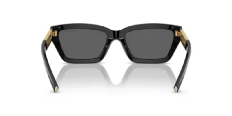 TF4213 Sunglasses