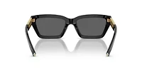 TF4213 Sunglasses