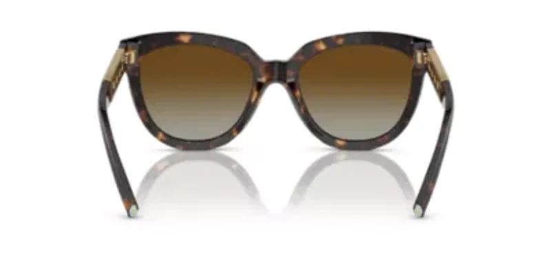 TF4215 Polarized Sunglasses