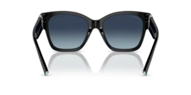 TF4216 Polarized Sunglasses