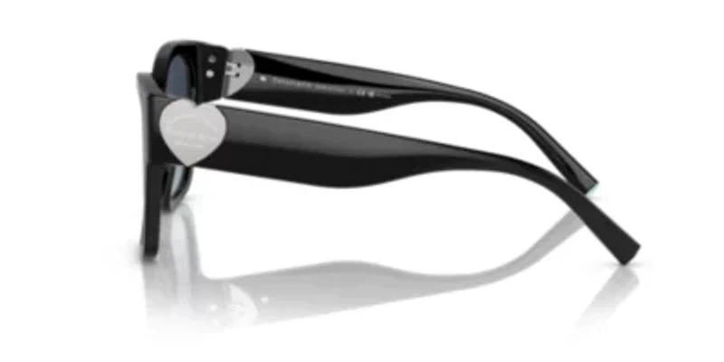 TF4216 Polarized Sunglasses