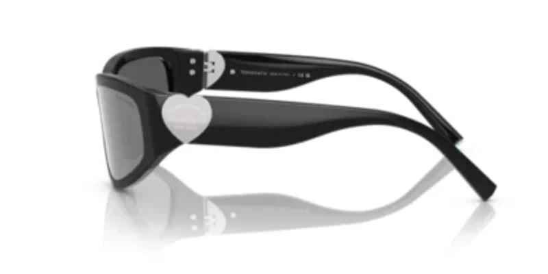 TF4217 Sunglasses