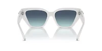 TF4218 Sunglasses