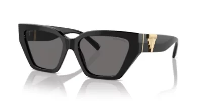 TF4218 Polarized Sunglasses