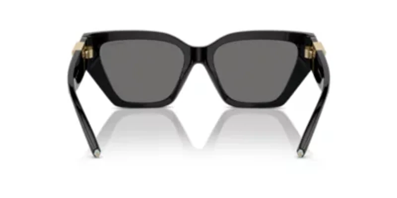 TF4218 Polarized Sunglasses