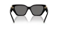 TF4218 Polarized Sunglasses
