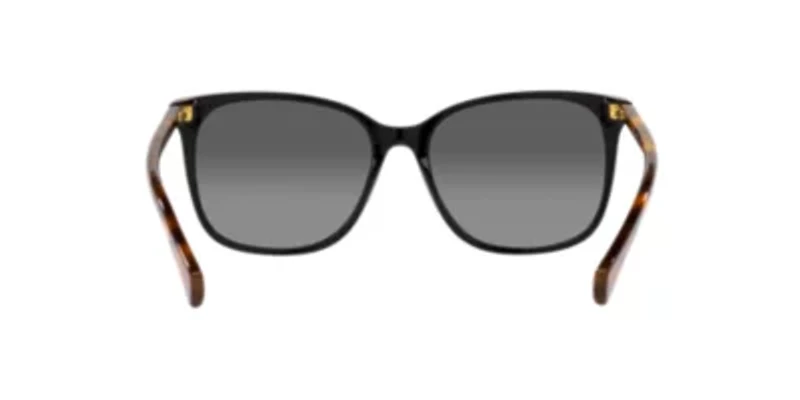RA5293 VVCV Polarized Sunglasses