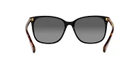 RA5293 VVCV Polarized Sunglasses