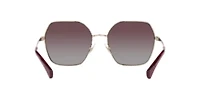 RA4138 Polarized Sunglasses