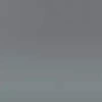 RB3636 New Caravan Polarized Sunglasses
