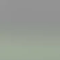 RB3637 New Round Polarized Sunglasses