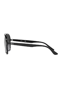 RB4376 Sunglasses