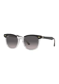RB2298 Hawkeye Polarized Sunglasses