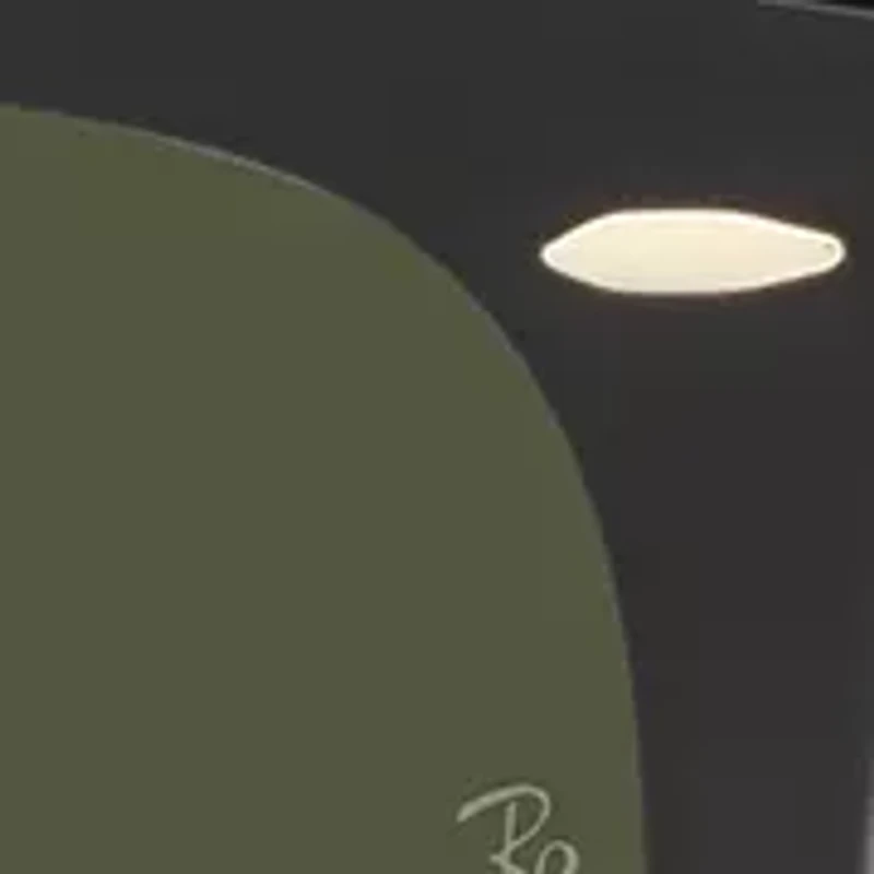 RB3498 Polarized Sunglasses