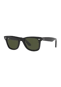 RB3498 Polarized Sunglasses