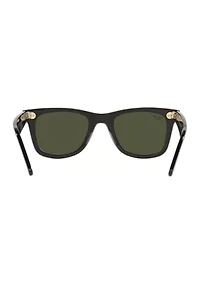 RB3498 Polarized Sunglasses