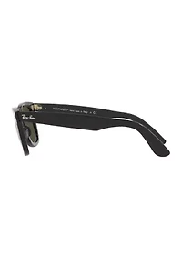 RB3498 Polarized Sunglasses