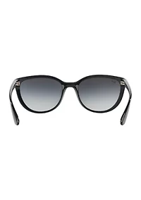 RB4167 Sunglasses