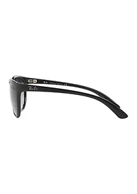 RB4167 Sunglasses
