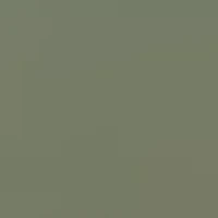 RB4194 Polarized Sunglasses