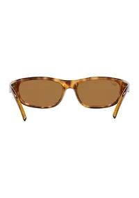 RB4033 Polarized Sunglasses