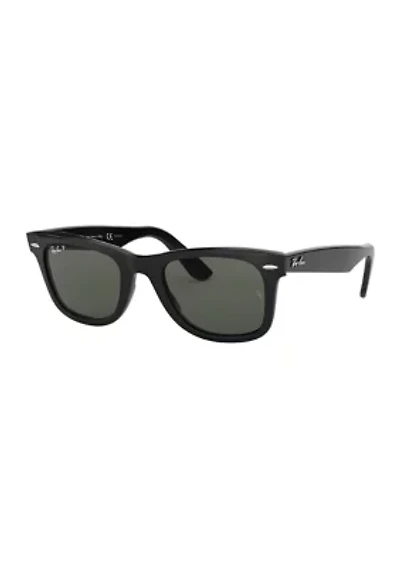TF4170 Sunglasses