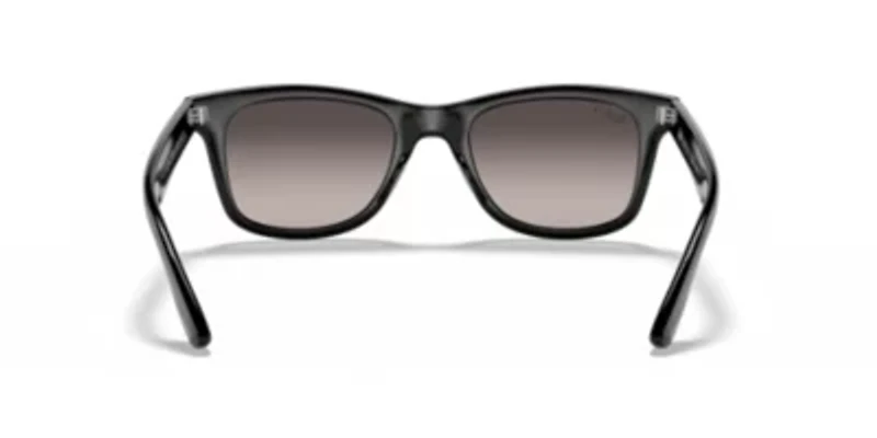 RB4640 Polarized Sunglasses