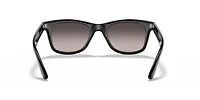 RB4640 Polarized Sunglasses