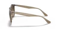 RB4306 Sunglasses
