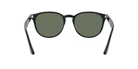 RB4259 Sunglasses