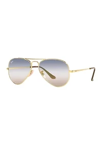 RB3689 Bi-Gradient Sunglasses