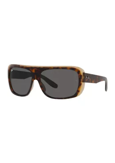 RB2196 Blair Sunglasses