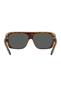 RB2196 Blair Sunglasses