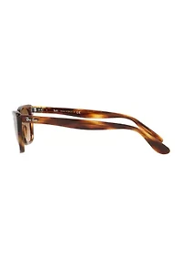 RB2299 Lady Burbank Sunglasses