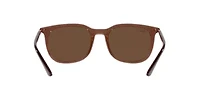 RB4386 Polarized Sunglasses
