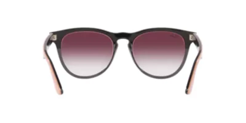 RB4471 Iris Sunglasses