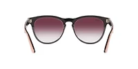 RB4471 Iris Sunglasses