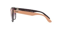 RB4471 Iris Sunglasses
