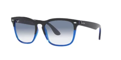 RB4487 Steve Sunglasses