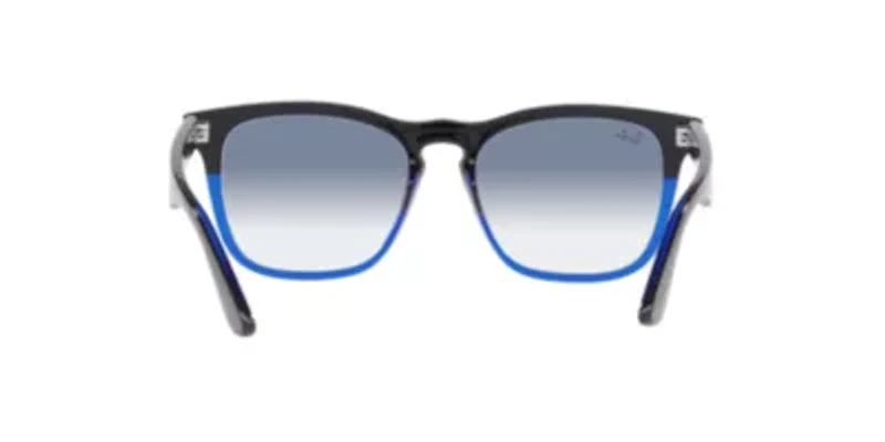 RB4487 Steve Sunglasses