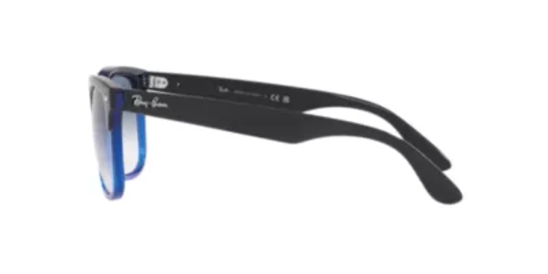 RB4487 Steve Sunglasses