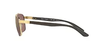 RB3701 Polarized Sunglasses