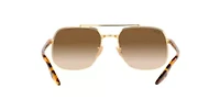 RB3699 Sunglasses