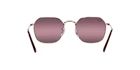 RB3694 Jim Polarized Sunglasses