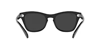 RB0707S Polarized Sunglasses